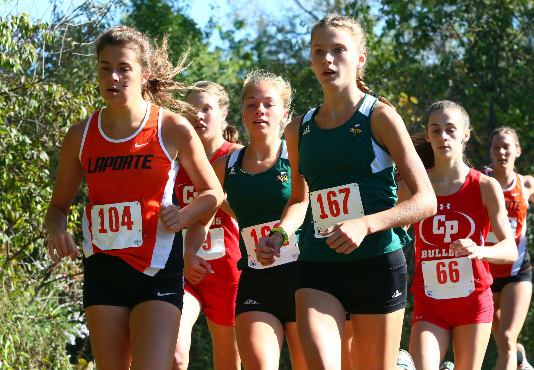 Gallery: Duneland Athletic Conference cross country meet